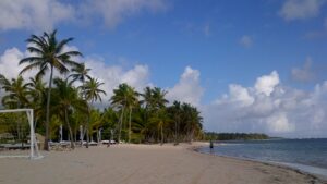 Plage de Punta Cana avec palmiers et transats pour illustrer un séjour balnéaire en République dominicaine